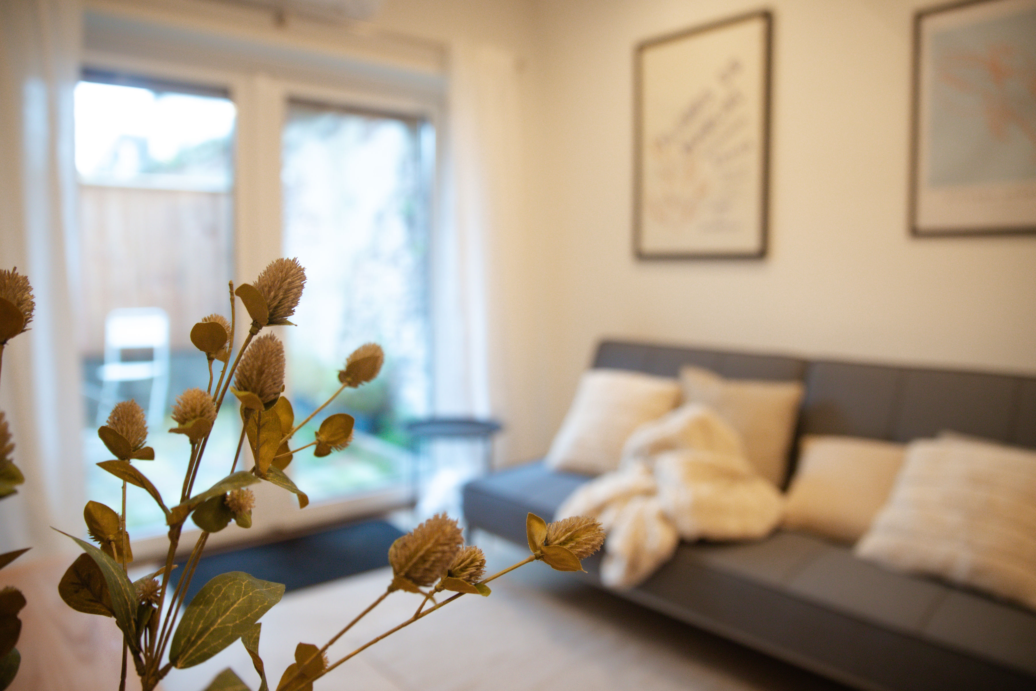 _MG_4521_2.jpg _MG_4521_2.jpg